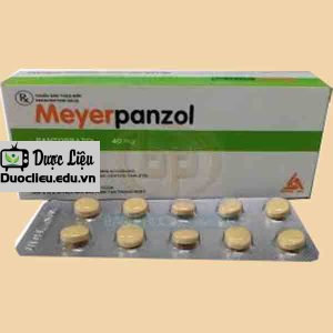 Meyerpanzol
