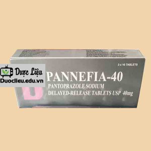 Pannefia – 40