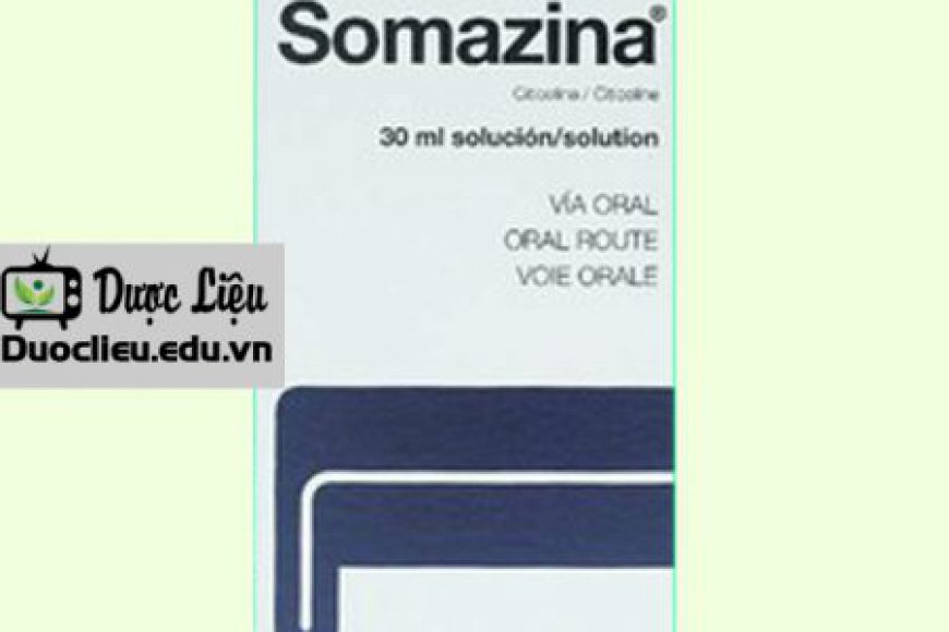 Somazina
