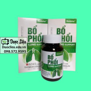 Bổ phổi Lung Support