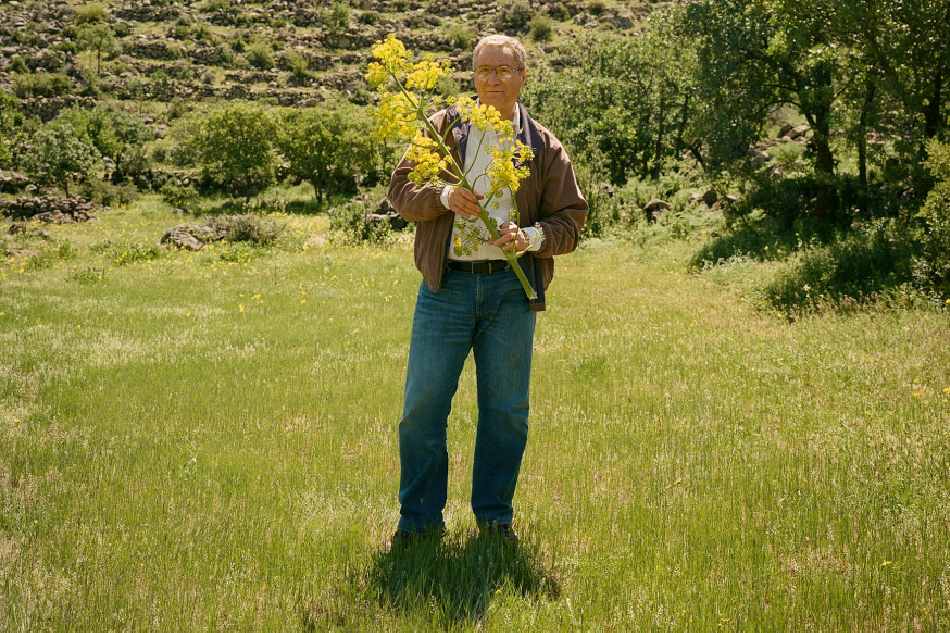 Giáo sư Đại học Istanbul Mahmut Miski cầm một cành hoa Ferula drudeana ở chân núi Hasan