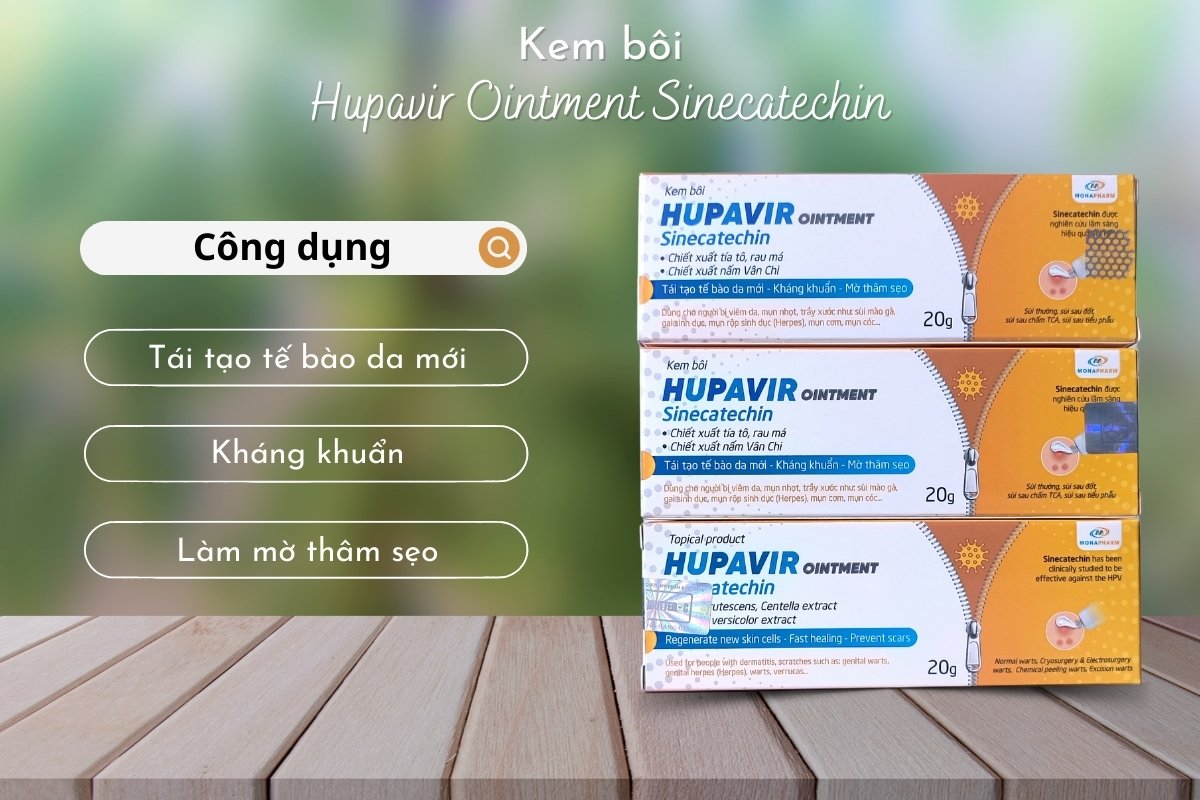 Hiệu quả của Kem bôi Hupavir Ointment Sinecatechin